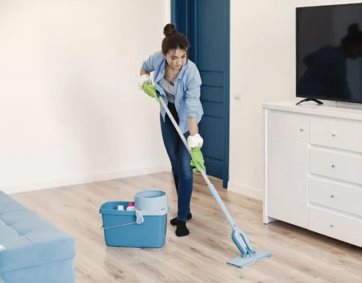 Femme de ménage Bricquebosq